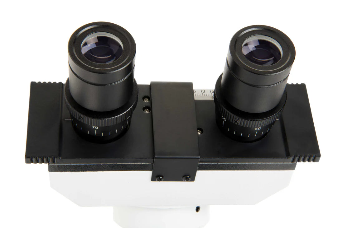 Celestron Labs CB2000CF - Compound Binocular Microscope