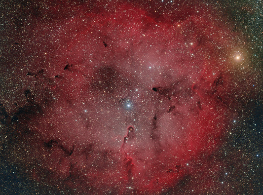 The Elephant Trunk Nebula