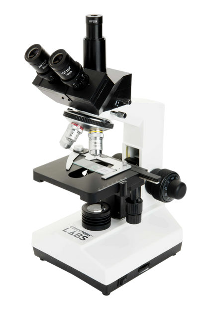 Celestron Labs CB2000C - Compound Binocular Microscope