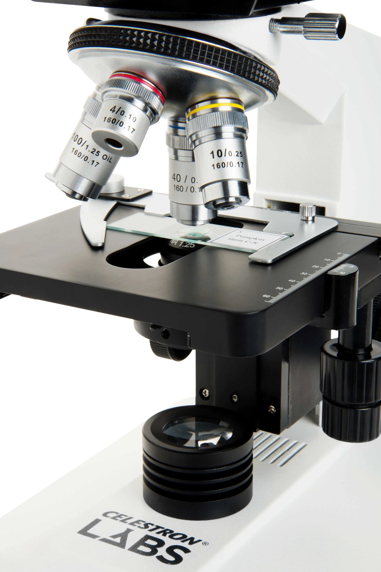 Celestron Labs CB2000C - Compound Binocular Microscope