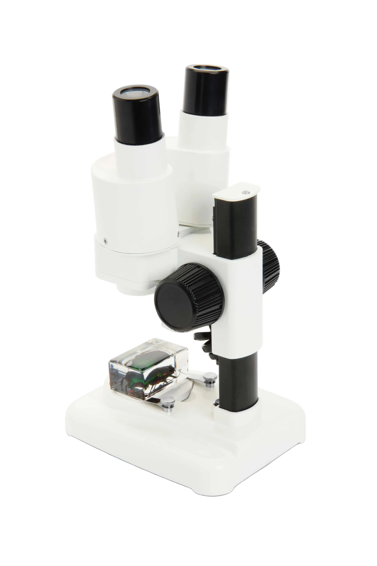 Celestron Labs S20 - Stereo Microscope