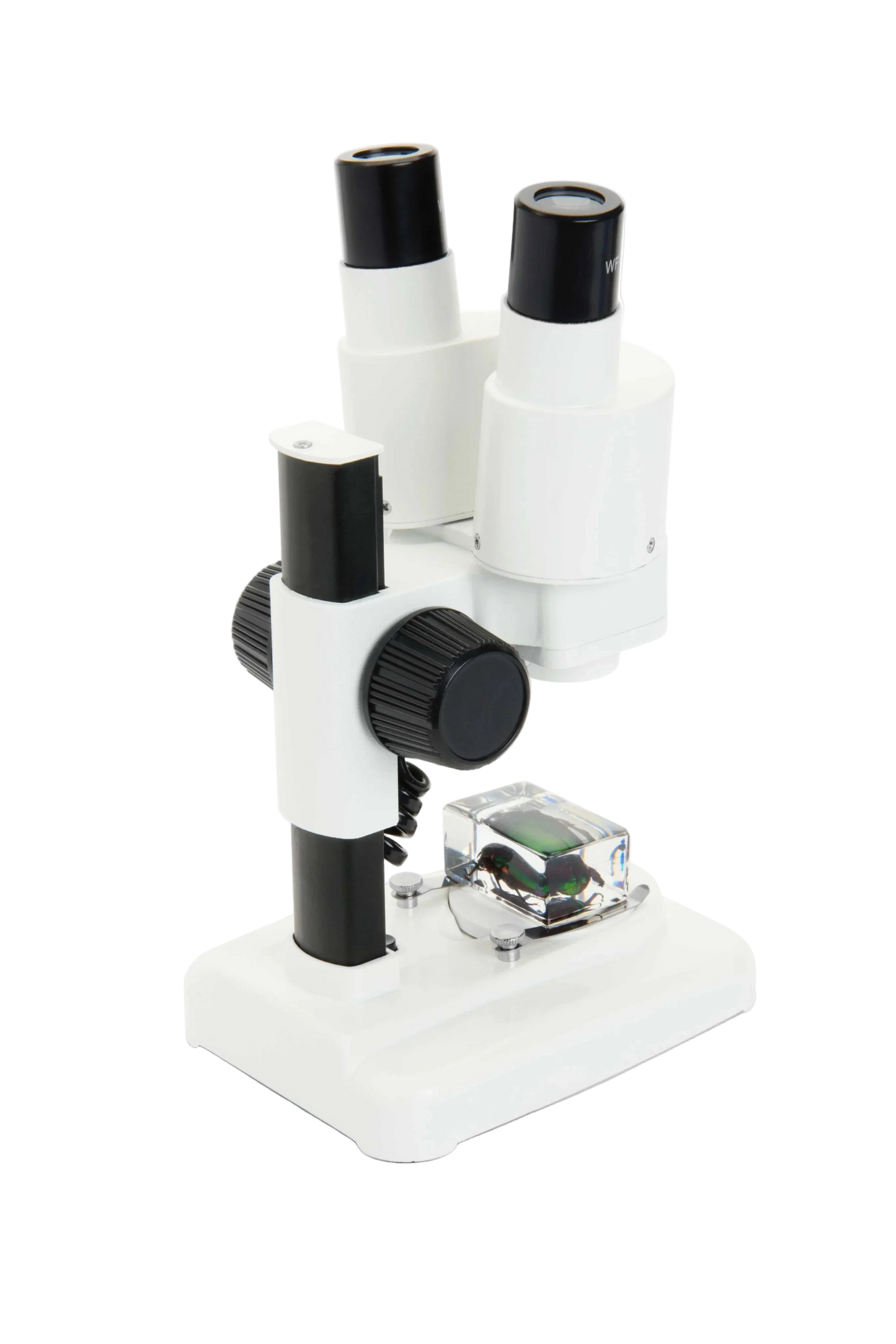 Celestron Labs S20 - Stereo Microscope