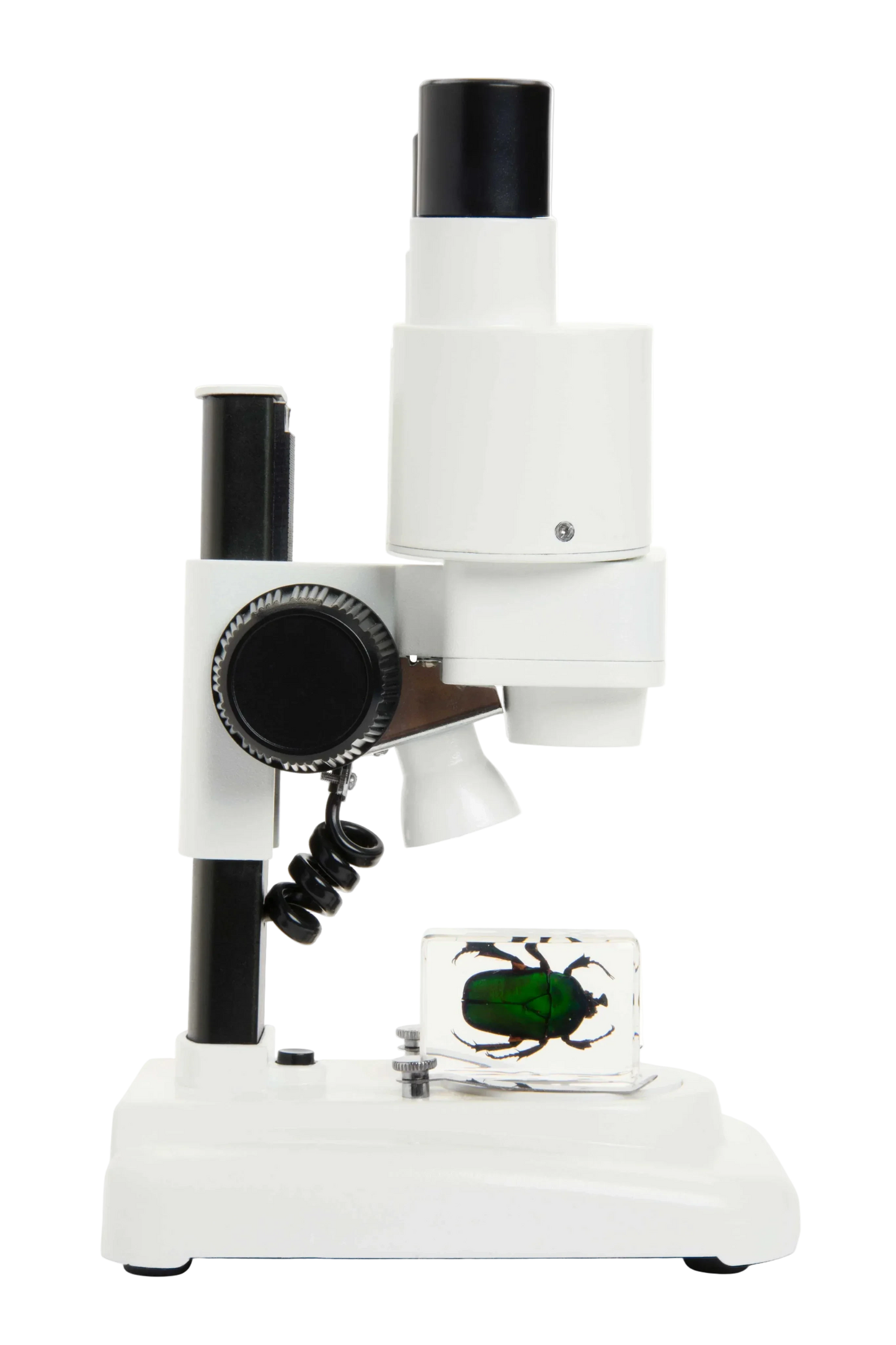 Celestron Labs S20 - Stereo Microscope
