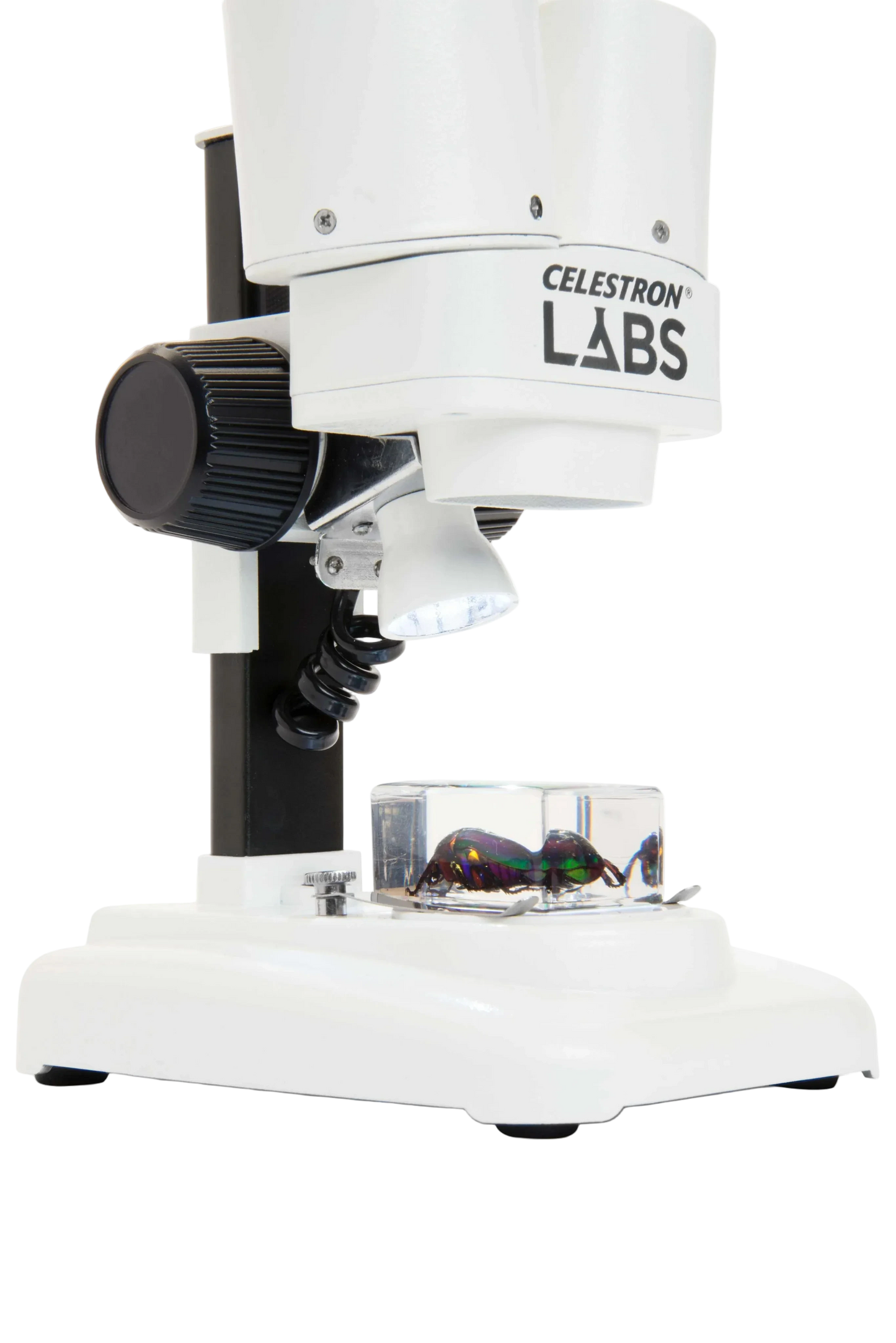 Celestron Labs S20 - Stereo Microscope