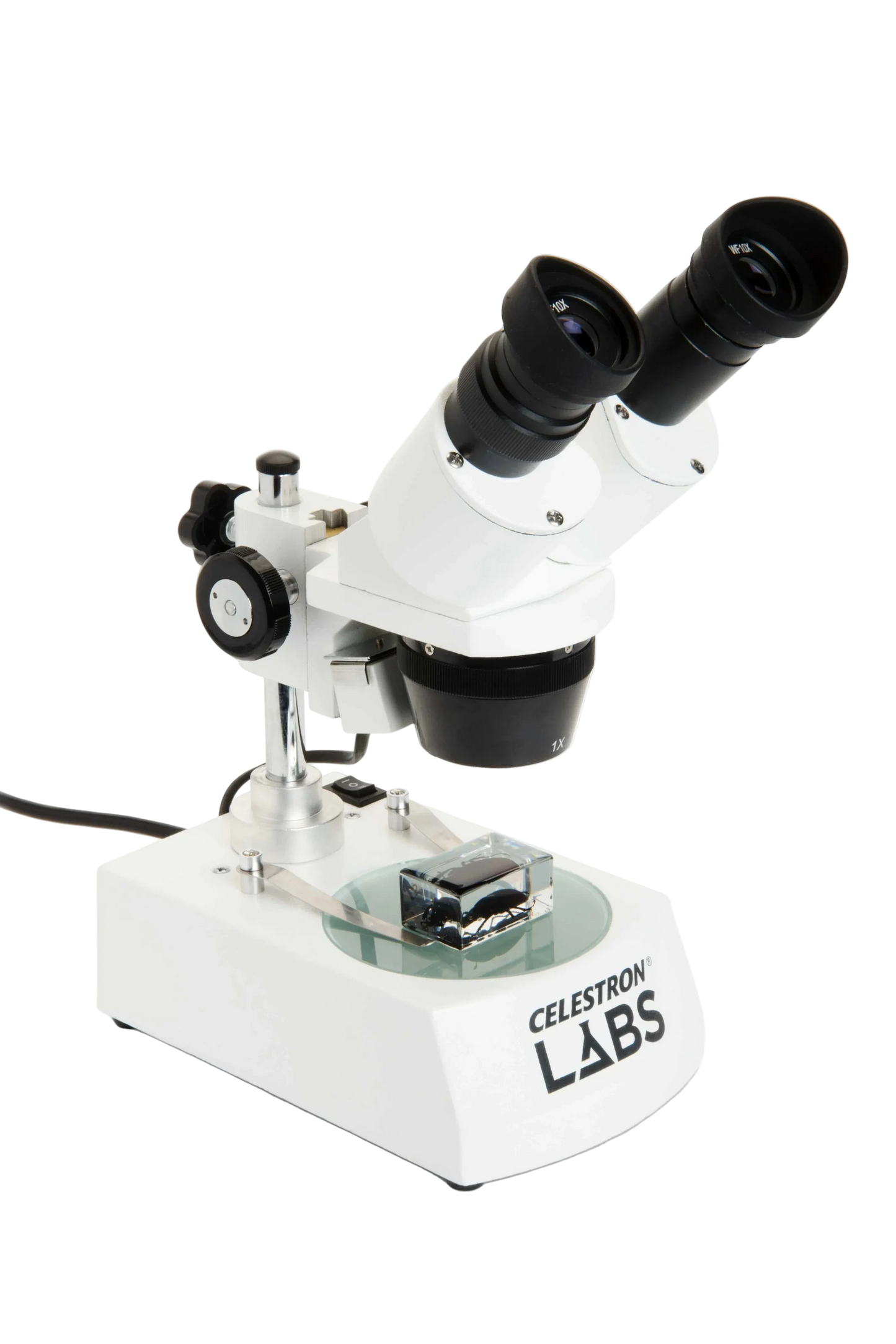 Celestron Labs S10-60 - Stereo Microscope