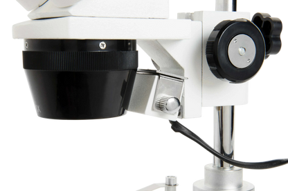 Celestron Labs S10-60 - Stereo Microscope