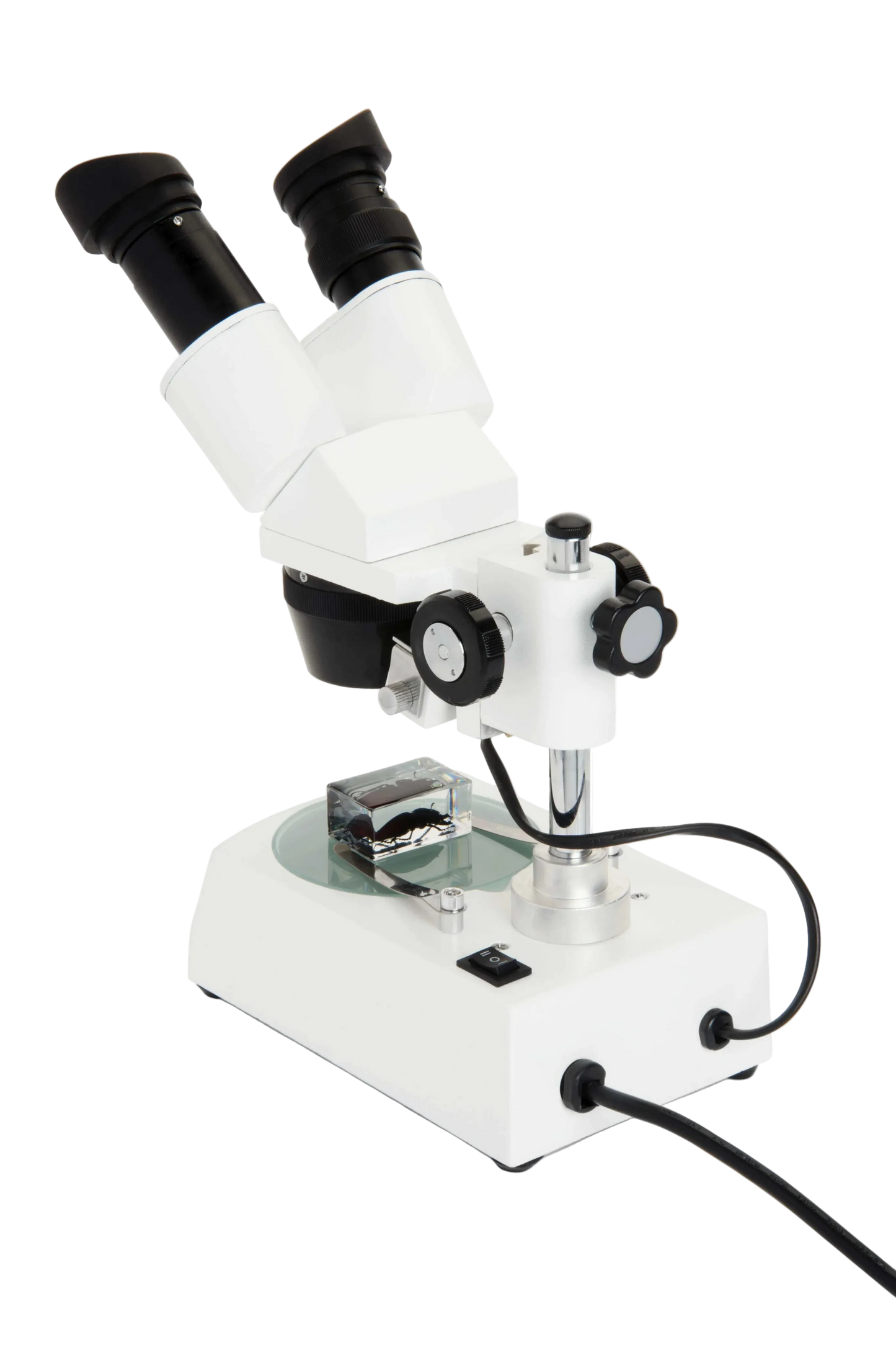 Celestron Labs S10-60 - Stereo Microscope