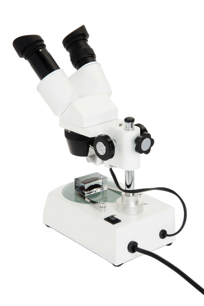 Celestron Labs S10-60 - Stereo Microscope