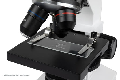 Microscope Calibration Slide