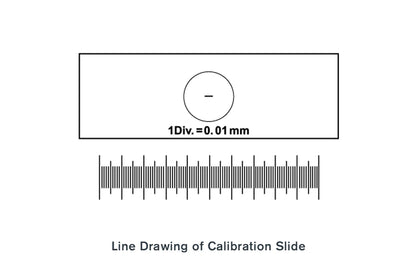 Microscope Calibration Slide