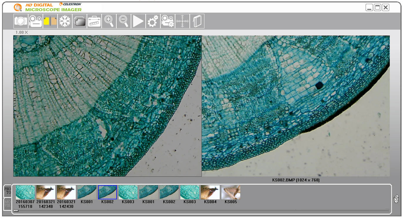 Celestron 5MP Digital Microscope Imager