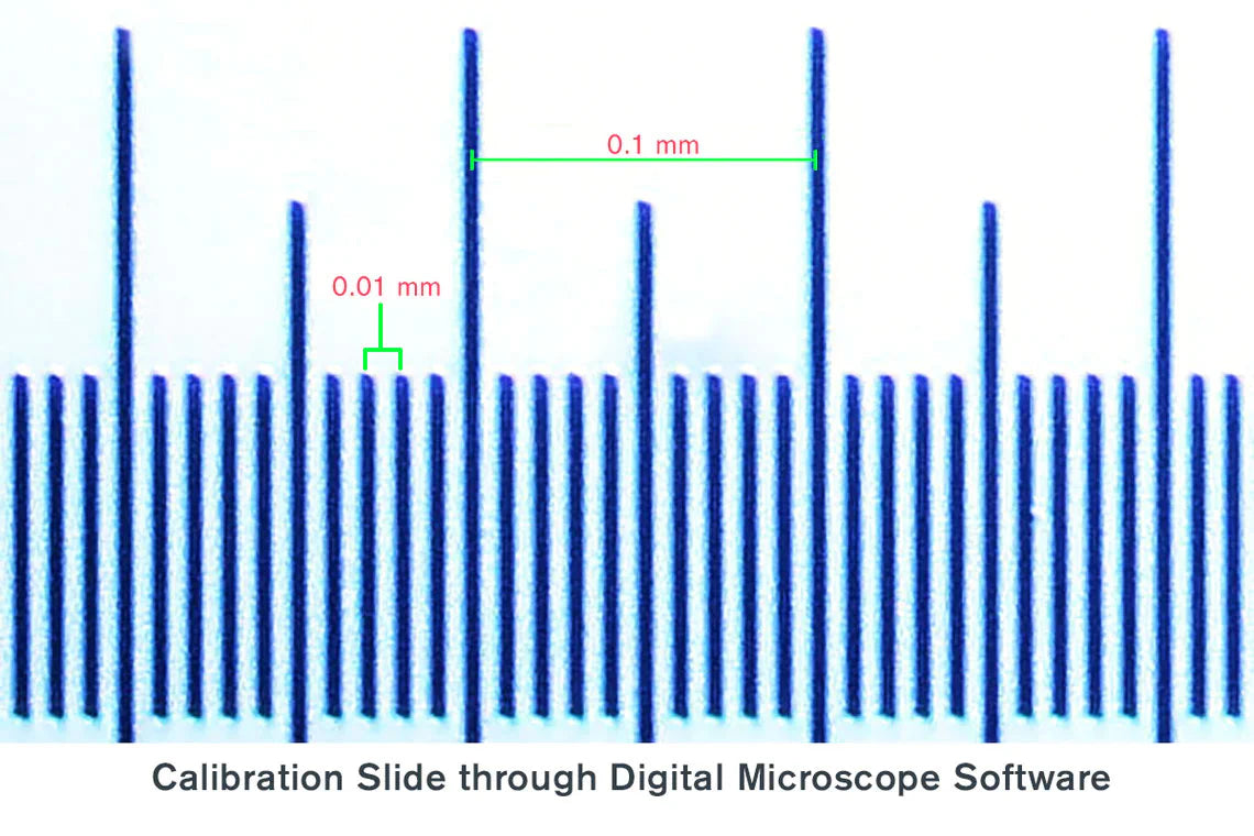 Microscope Calibration Slide