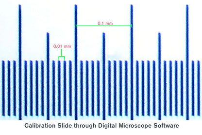 Microscope Calibration Slide