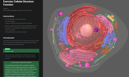 Anatomy & Physiology Interactive Digital Textbook