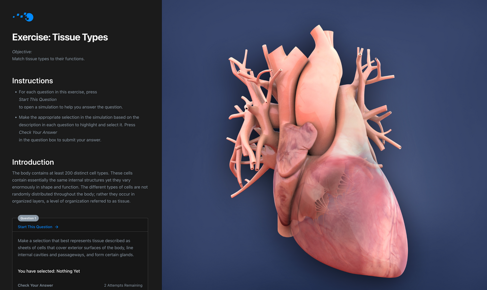 Simulation Curriculum Anatomy and Physiology Digital Textbook Classroom ...
