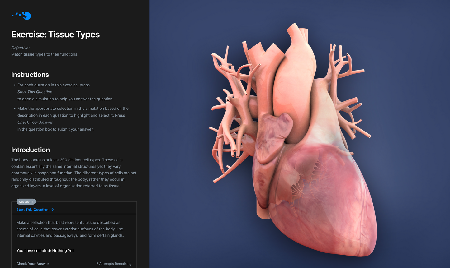 Anatomy & Physiology Interactive Digital Textbook - Student Edition