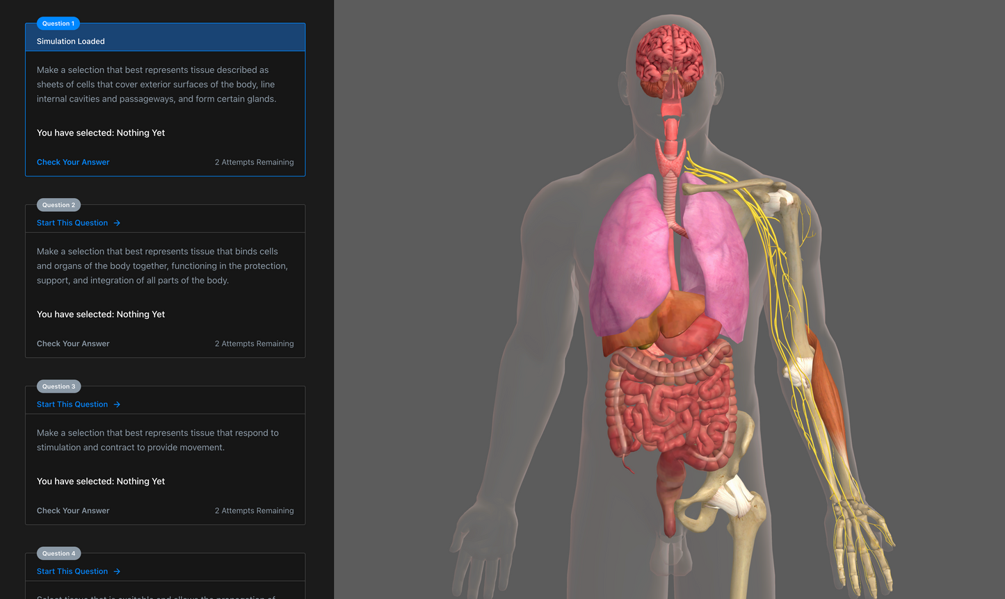 Anatomy & Physiology Interactive Digital Textbook