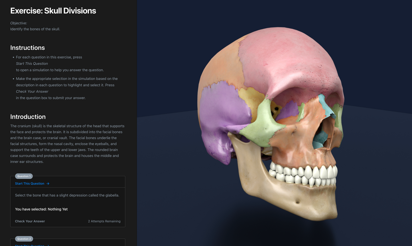 Anatomy & Physiology Interactive Digital Textbook - Student Edition