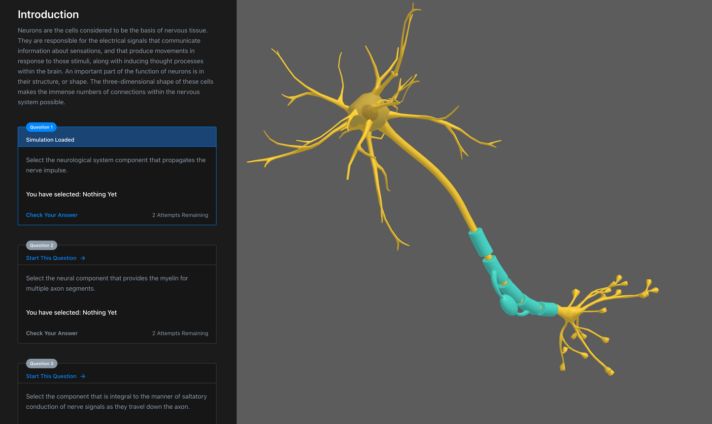 Anatomy & Physiology Interactive Digital Textbook