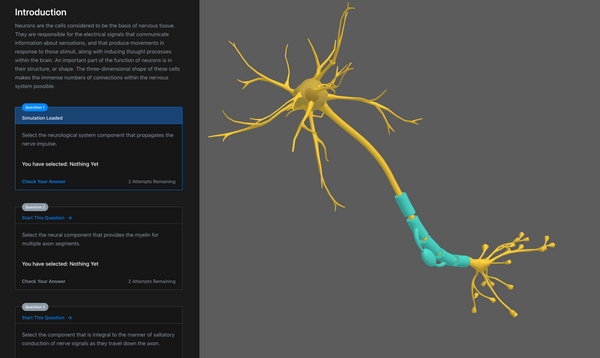Simulation Curriculum Anatomy and Physiology Digital Textbook Classroom ...