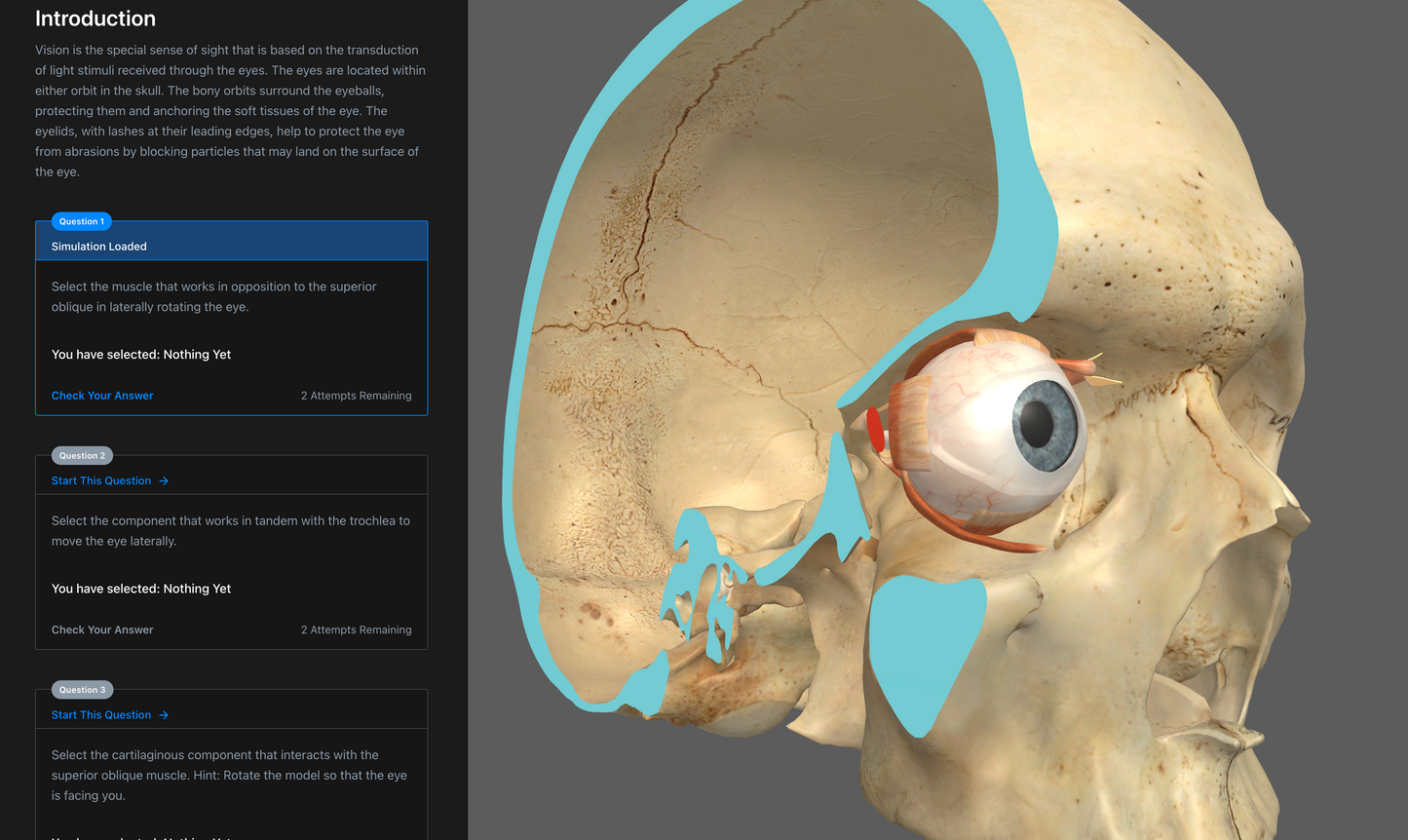 Anatomy & Physiology Interactive Digital Textbook