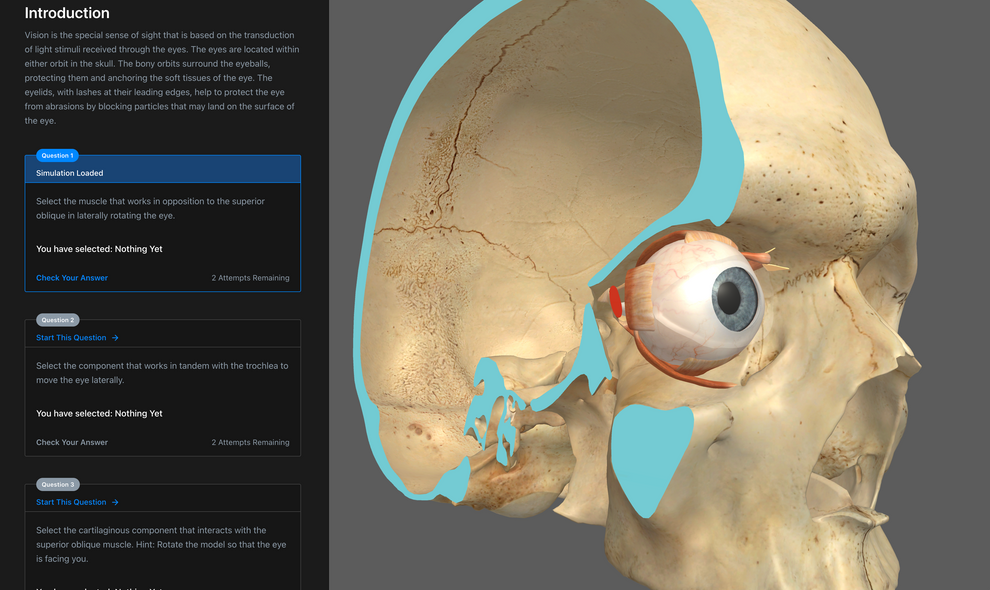 Simulation Curriculum Anatomy and Physiology Digital Textbook Classroom ...