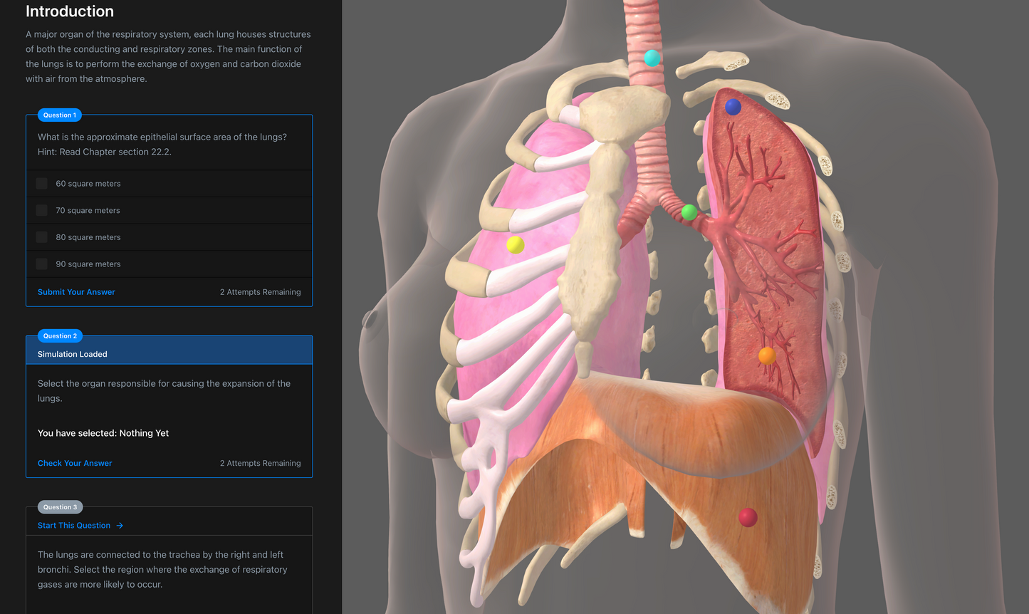 Anatomy & Physiology Interactive Digital Textbook