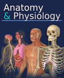 Anatomy & Physiology Interactive Digital Textbook